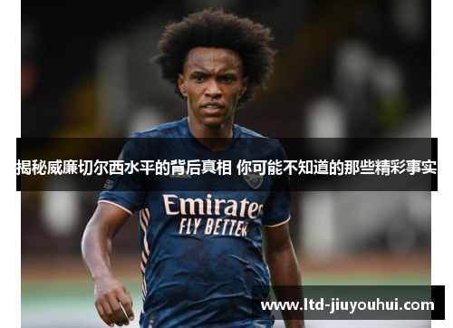揭秘威廉切尔西水平的背后真相 你可能不知道的那些精彩事实