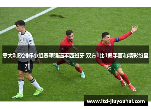 意大利欧洲杯小组赛顽强逼平西班牙 双方1比1握手言和精彩纷呈 意大利欧洲杯小组赛顽强逼平西班牙 双方1比1握手言和精彩纷呈